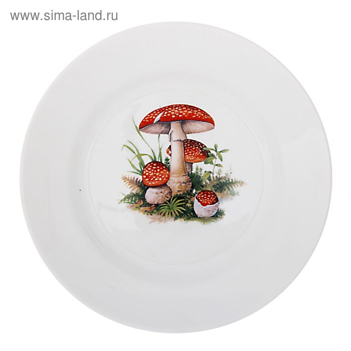 грибы тарелка глубокая. грибы тарелочки. тарелка грибы. тарелка грибы. тарелки 175мм дулево.