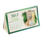 Календарь домик перекидной 2017 Мир животных, леопард - Фото 2