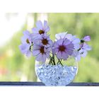 Аквагрунт прозрачный, 50 г - Фото 2