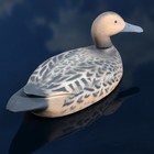 Фигура подсадная "Шилохвость - Утка" - Фото 3