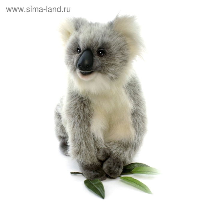 Мягкая игрушка «Счастливая коала», 23 см - Фото 1