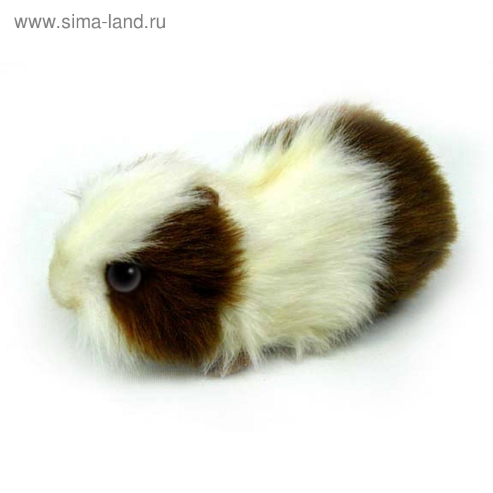 Мягкая игрушка "Морская свинка бело-коричневая" - Фото 1