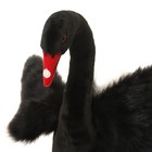 Мягкая игрушка «Лебедь чёрный», 45 см - Фото 7