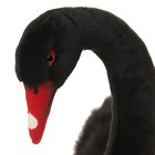 Мягкая игрушка «Лебедь чёрный», 45 см - Фото 8