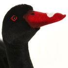Мягкая игрушка «Лебедь чёрный», 45 см - Фото 9