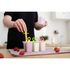 Форма для мороженого Доляна «Симпл», 6 ячеек, 50 мл, пластик, МИКС - Фото 12