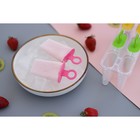 Форма для мороженого Доляна «Симпл», 6 ячеек, 50 мл, пластик, МИКС - Фото 13