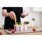 Форма для мороженого Доляна «Симпл», 6 ячеек, 50 мл, пластик, МИКС - Фото 14