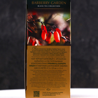 Чай Гринфилд Barberry Garden black tea 25п*1,5 гр. - Фото 2
