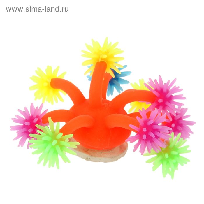 Декоративный анемон для аквариума, микс цветов - Фото 1