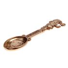 Кошельковый талисман, ложка загребушка «Денежная», 4.6×1.2 см - Фото 5