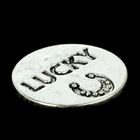 Сувенир кошельковый металл Lucky с подковой 2,5х2,5 см - Фото 2