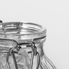 Банка для сыпучих Доляна «Чеснок», 100 мл, 7×8 см, с бугельным замком, стекло, прозрачная - Фото 6