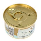 Влажный корм STUZZY GOLD для кошек, тунец с крабовыми палочками в собственном соку, 85 г - Фото 2