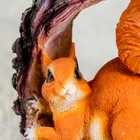 Садовая фигура из полистоуна «Белка в шишке», 25×20×14 см - Фото 7