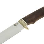 Нож нескладной "Лазутчик", кованная сталь 95х18, рукоять-венге, литье - Фото 3