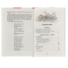 Книга детская «Хрестоматия для внеклассного чтения», 5 класс - Фото 4