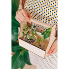 Подарочный ящик «Стелла», 20×12.5×20 см, деревянный, с ручкой - Фото 5