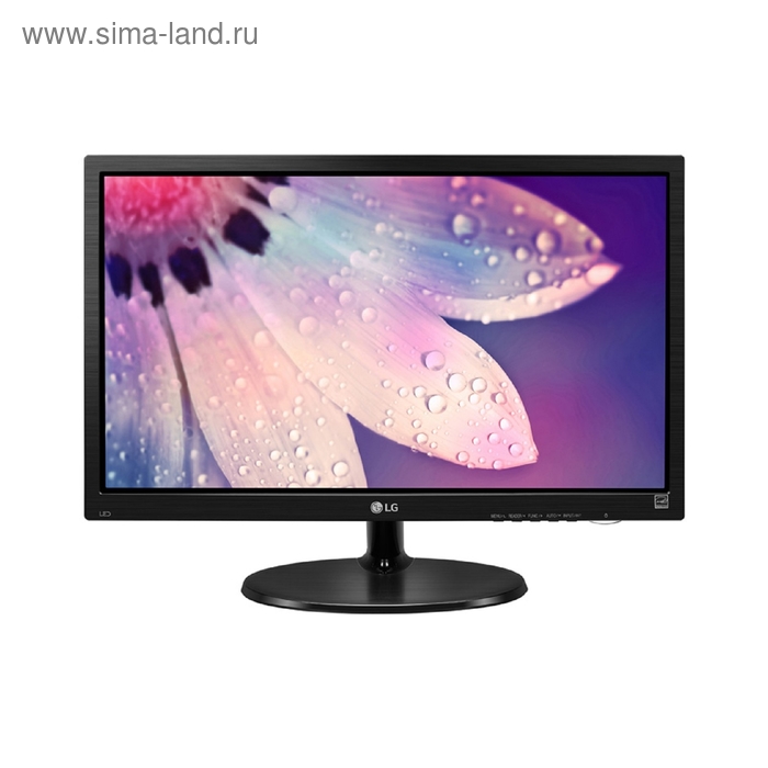 Монитор LG 18.5" 19M38A-B, черный - Фото 1