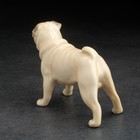 Сувенир собачка «Мопс» - фото 24373830