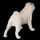 Сувенир собачка «Мопс» - фото 24373833