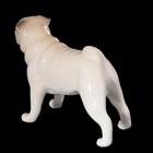 Сувенир собачка «Мопс» - фото 24373834