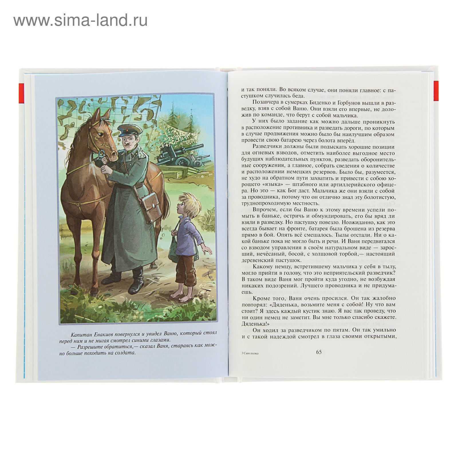 Сколько страниц в рассказе сын полка. Сын полка читать. сын полка сколько страниц в книге. рисунок по рассказу сын полка.