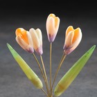 Цветы «Подснежники», 5 цветков, селенит - фото 9822414