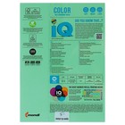 Бумага цветная А4 500 л, IQ COLOR, 80 г/м2, зеленый, MG28 - Фото 4