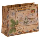 Пакет крафтовый горизонтальный «Новогодняя почта», 23 × 18 × 8 см - Фото 1