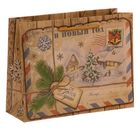 Пакет крафтовый горизонтальный «Новогодняя почта», 23 × 18 × 8 см - Фото 3