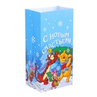Пакет подарочный без ручек "С новым счастьем!", Медвежонок Винни и его друзья, 10 х 19,5 х 7 см - Фото 2