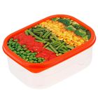 Ланч-бокс "Овощная радуга", 500 мл - Фото 1