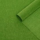 Бумага гофрированная, 991 "Зелёный лист", 50 см х 2,5 м - фото 3196367