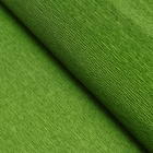 Бумага гофрированная, 991 "Зелёный лист", 50 см х 2,5 м - фото 8284803