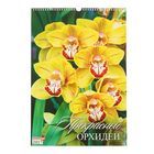 Календарь перекидной на ригеле "Прекрасные орхидеи", 34х49 см - Фото 1