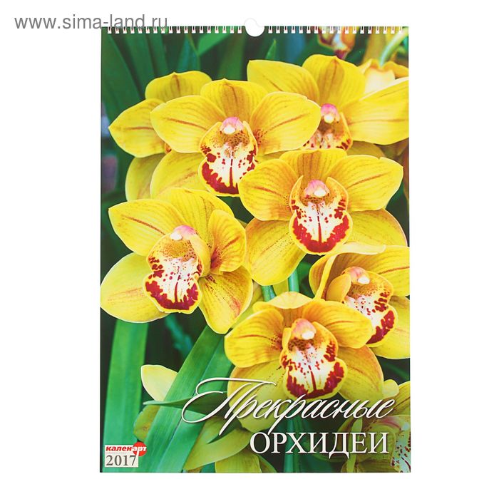 Календарь перекидной на ригеле "Прекрасные орхидеи", 34х49 см - Фото 1