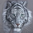 Футболка женская "Тигр белый", р-р S (44), 100% хлопок - Фото 4