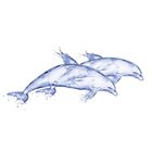 Вставка керамическая Deep Blue DB2G051D Дельфин, белая, 200х440 мм - Фото 1