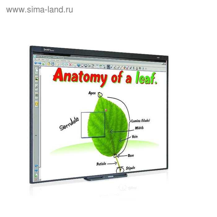 Доска интерактивная SB 480 (77''/ 195см., технология DViT) - Фото 1