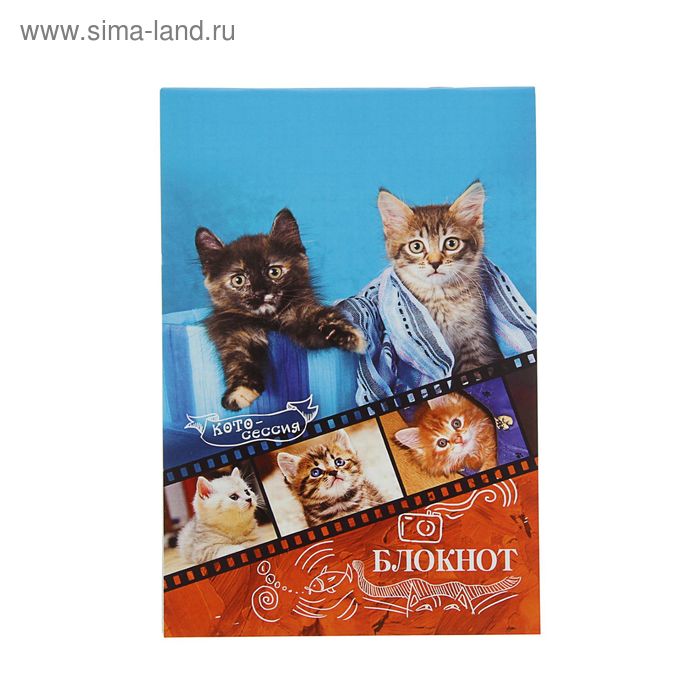 Блокнот А5, 40 листов на скрепке "Котята" - Фото 1