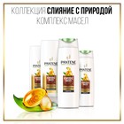 Бальзам-ополаскиватель Pantene Слияние с природой, Oil Therapy, 200 мл - Фото 6