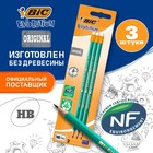 Набор карандашей чернографитных 3 штуки BIC «Evolution», НВ, пластиковый, с ластиком - Фото 1