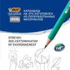 Набор карандашей чернографитных 3 штуки BIC «Evolution», НВ, пластиковый, с ластиком - Фото 5