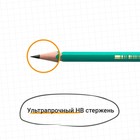 Набор карандашей чернографитных 3 штуки BIC «Evolution», НВ, пластиковый, с ластиком - Фото 7