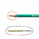 Набор карандашей чернографитных 3 штуки BIC "Evolution", НВ, пластиковый, с ластиком - Фото 7