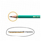 Набор карандашей чернографитных 3 штуки BIC «Evolution», НВ, пластиковый, с ластиком - Фото 8