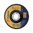 Круг лепестковый торцевой ТУНДРА, 115×22 мм, Р40 - Фото 2