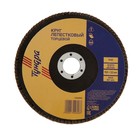 Круг лепестковый торцевой ТУНДРА, 150×22 мм, Р40 - Фото 2