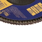 Круг лепестковый торцевой ТУНДРА, 150×22 мм, Р40 - Фото 3